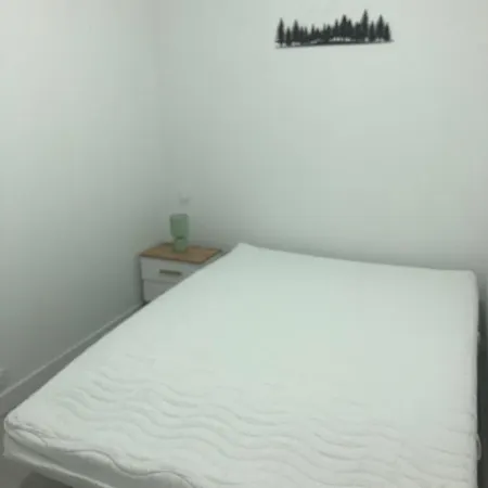T4 Neuf Avec Balcon Vue Montagne 10 Min Lioran * Laveissière