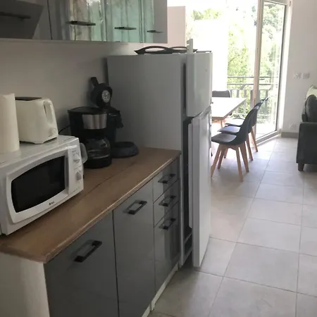 T4 Neuf Avec Balcon Vue Montagne 10 Min Lioran Apartament